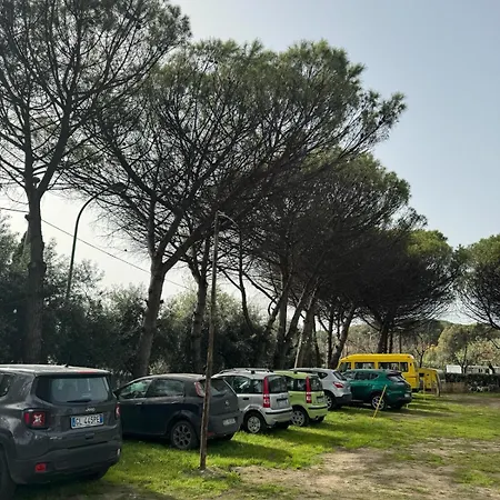 Parque de Campismo Camping Erika